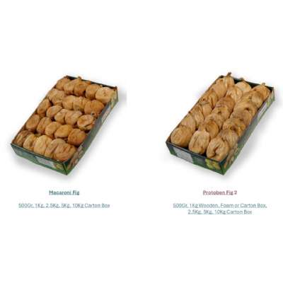 CATALOG