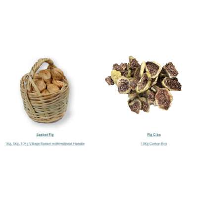 CATALOG