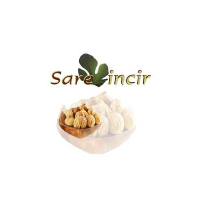 CATALOG