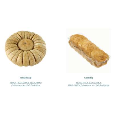CATALOG
